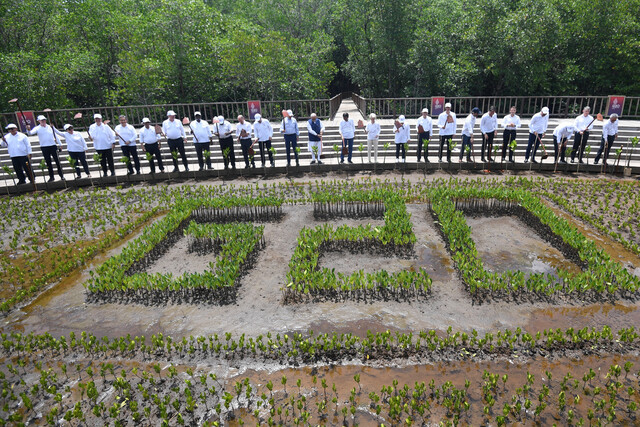 주요 20개국(G20) 정상회의 이틀째인 16일(현지시각) 인도네시아 발리 덴파사르의 맹그로브 숲 식목행사장에서 정상회의 참가자들이 나무를 심은 뒤 괭이를 들고 기념사진을 찍고 있다. 덴파사르/로이터 연합뉴스