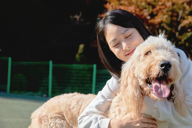 서울 성공회대학교 평생교육원이 동물단체 ‘동물자유연대’와 함께 ‘동물아카데미 2기’ 수강생을 모집한다. 게티이미지뱅크