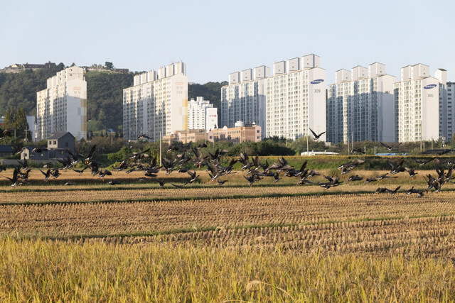 하루에도 여러 번 사람들의 방해를 받아 자리를 옮기곤 한다.