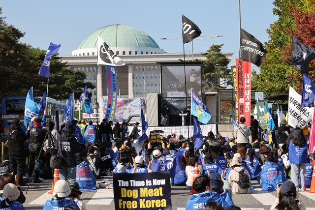 동물권 대국민 연대 회원들이 29일 오후 서울 여의도 국회 앞에서 ‘개회식용 금지법’ 제정을 촉구하는 집회를 열고 있다. 이번 회기에도 개 식용 종식 관련 특별법 제정안이 발의되었지만, 상임위원회 문턱조차 넘지 못하고 계류 중이다. 김봉규 선임기자 bong9@hani.co.kr