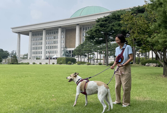 국내 처음으로 국회를 찾은 개농장 구조견 ‘도담이’와 반려인 차희정씨가 19일 오전 국회 본관 앞에서 산책을 즐기고 있다. 김지숙 기자 suoop@hani.co.kr