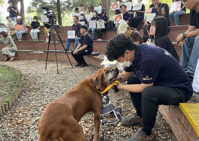 19일 오전 서울 여의도 국회도서관 야외음악당에서 열린 ‘개농장 구조견과 함께하는 산책, 꽃길’ 행사에는 개농장 구조견 4마리와 동물단체 활동가, 시민, 국회의원 등 40여 명이 참석했다. 구조견 ‘초코’가 활동가와 눈을 맞추고 있다. 김지숙 기자 suoop@hani.co.kr