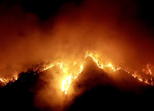 지난 5일 경북 울진군 북면 두천리에서 산불이 온 산으로 번지고 있다. 김태형 기자 xogud555@hani.co.kr