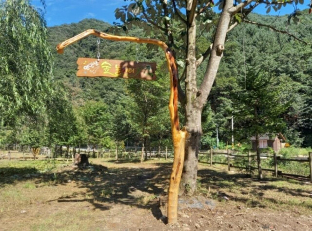 13일 문을 연 경기도 가평군 연인산도립공원 안 숲놀이터. 경기도 제공