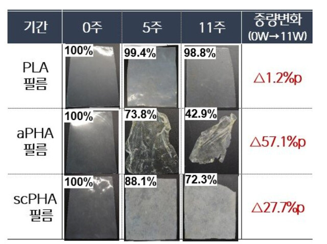 생분해성 플라스틱의 해양 생분해 실험 결과. CJ제일제당 제공