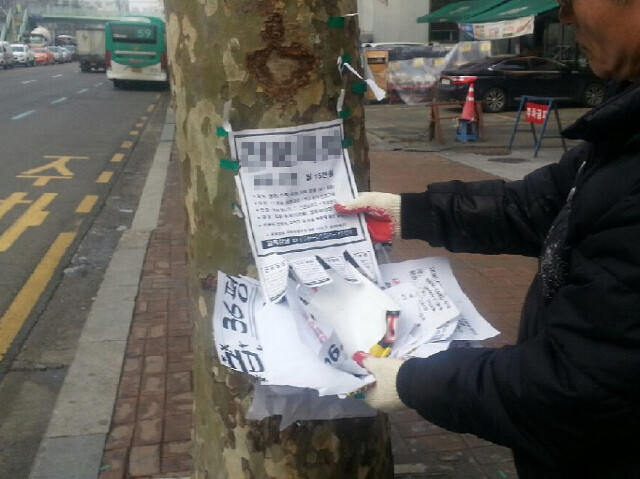 가로수에 붙은 불법 광고물 정비하는 모습. 한겨레 자료사진