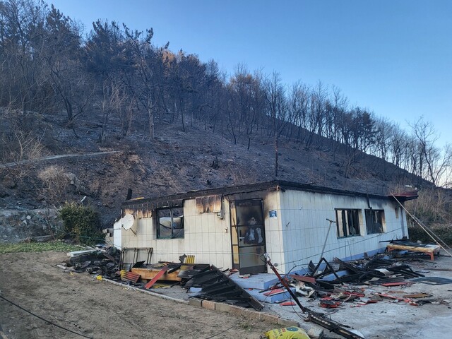 경북 울진에서 시작된 산불이 옮겨 붙어 전소된 강원 삼척시 고포마을에 위치한 김기현(81)·한채숙(71)씨의 집. 뒤로는 화재로 잿더미가 된 산이 보인다. 고병찬 기자