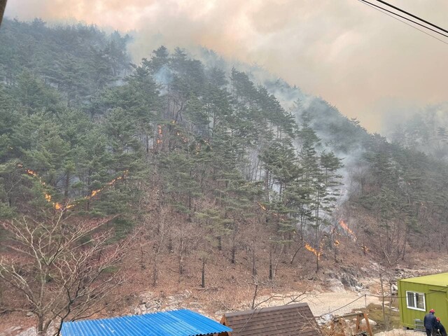 6일 오전 경북 울진 북면 모봉산에 잔불이 타고 있다. 이주빈 기자