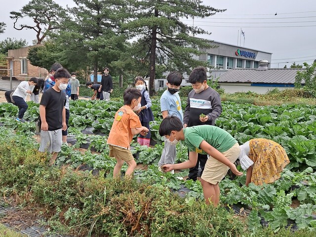 전북교육청에서 진행하는 농촌유학 협력학교인 전북 임실 지사초등학교 학생들이 지난달 체험활동을 하고 있다. 전북교육청 제공