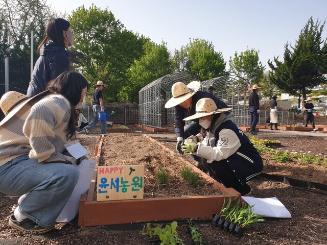 지난 12일 전북 전주시 덕진구 종합경기장 주변 생태텃밭에서 학생들이 모종을 심고 있다. 박임근 기자