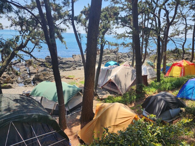 지난달 1일 부산 기장군 일광읍 한 해안가에 사용하지 않는 텐트가 자리 점유를 위해 알박기 돼 있다. 연합뉴스