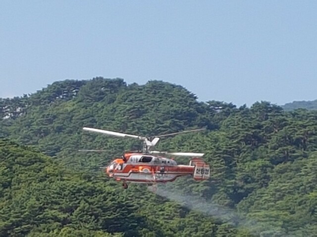 제주도가 소나무재선충병 확산 방지를 위해 꿀벌 폐사 논란이 이는 헬기 이용 항공방제의 약제를 교체해 28일부터 드론 방제작업에 나섰다. 제주도 제공