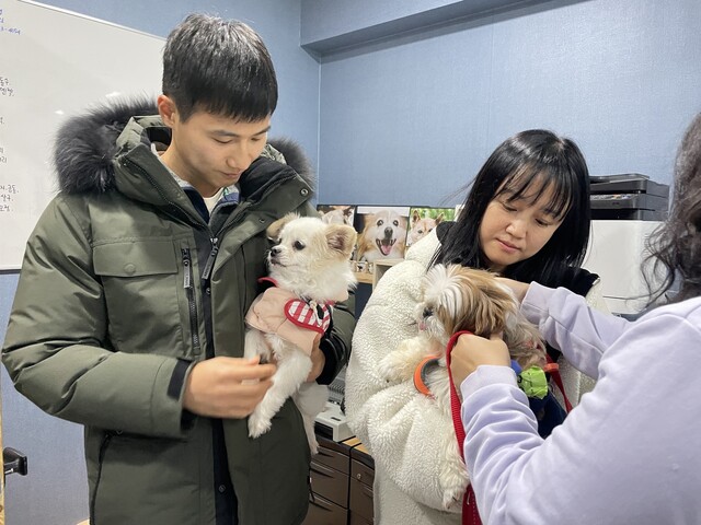 지난 16일 서울 강서구 화곡동 ‘팅커벨프로젝트 입양센터’에서 개들이 산책에 앞서 준비를 하고 있다.