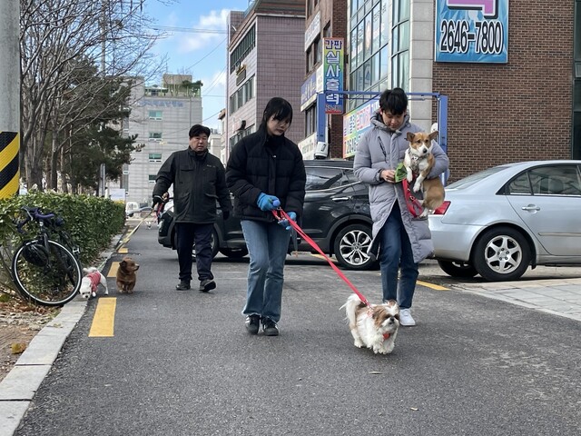 지난 16일 서울 강서구 화곡동 ‘팅커벨프로젝트’ 황동열 대표(맨 왼쪽)와 박정욱 단장(오른쪽)이 개들과 산책에 나서고 있다.