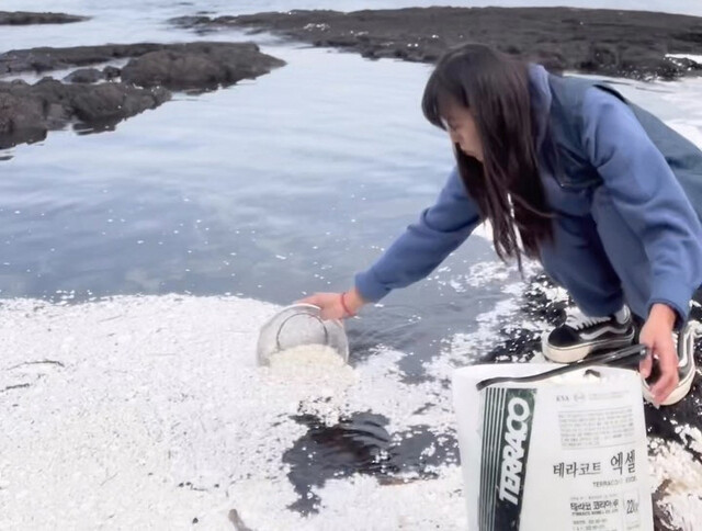 시민단체 ‘세이브제주바다’ 활동가가 8일 제주도 구좌읍 김녕해변에 밀려든 흰색 덩어리를 수거하고 있다. 세이브제주바다 제공