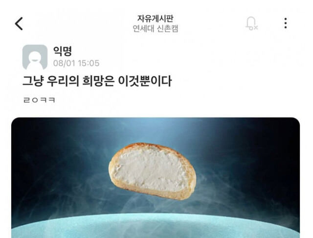 '위기의 연세대를 구할 희망’이라는 연세우유 크림빵과 초전도체를 합한 ‘초전도빵’밈. 온라인 커뮤니티 갈무리