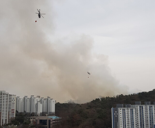 11일 오후 광주 북구 운암동 인근 산에서 불이나 소방헬기가 진화하고 있다.독자 제공