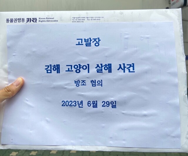 지난 24일 새벽 경남 김해시 내동 한 오피스텔 12층에서 고양이 두 마리가 추락하는 사건이 발생해 동물보호단체가 관련자들을 동물학대 혐의로 고발했다. 카라 제공