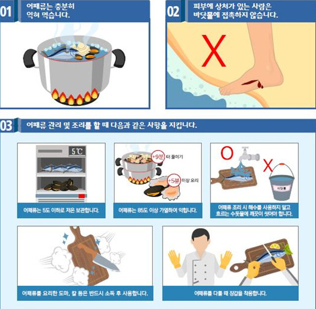 질병관리청은 비브리오패혈증 예방을 위해 어패류를 충분히 익혀 먹으라고 당부한다. 질병관리청 누리집 갈무리