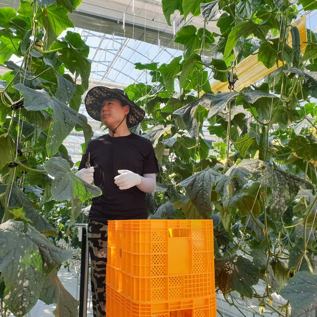 경기도에서 나고 자란 복진욱씨는 일주일에 하루는 아메리칸 바이크를 즐기는 신세대 농부다. 복진욱씨 제공