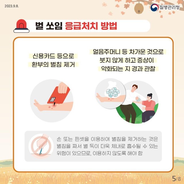 벌에 쏘였을 때 응급처치 방법. 사진 질병관리청 제공