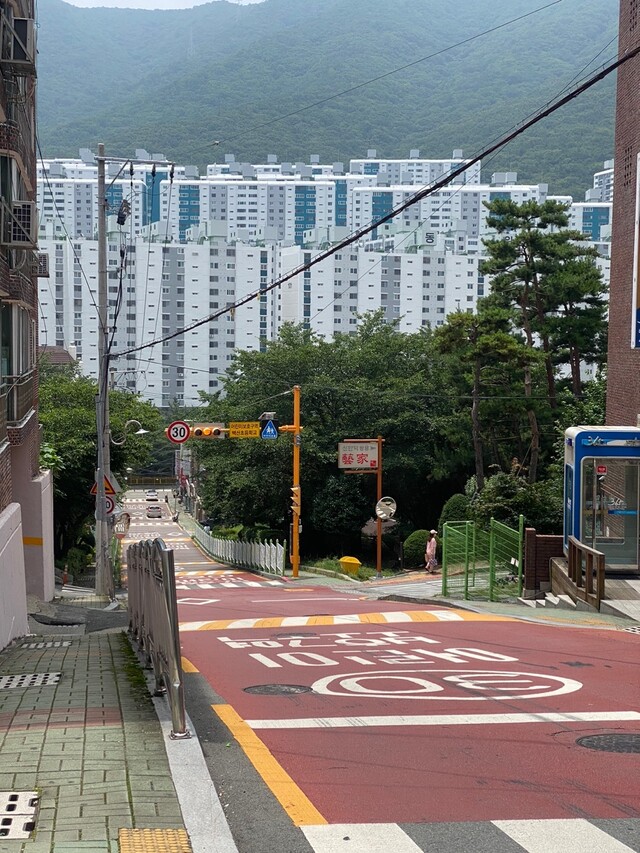 백산초 앞 어린이보호구역. 필자 제공