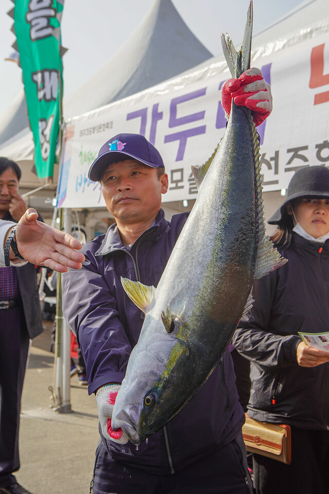 방어축제 기간 방어를 경매하고 있다. 최남단방어축제위원회 제공