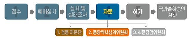 코로나19 백신에 대한 국내 품목허가 심사 과정. 식약처 제공