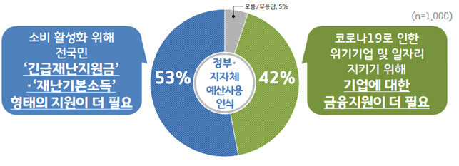 경기도민 상대 2차 긴급재난지원금 지원 설문 조사.