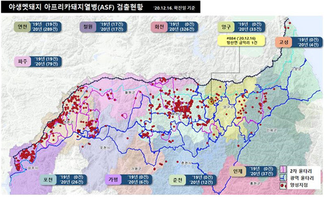 야생 멧돼지 아프리카돼지열병 검출 현황 ※ 이미지를 누르면 크게 볼 수 있습니다.