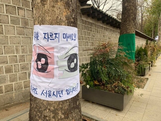 지난달 서울시민들이 덕수궁 돌담 앞 플라타너스를 “우리를 자르지 마세요! 우리도 시민입니다!”라는 문구의 펼침막으로 감싸놓았다. ‘가로수를 아끼는 사람들’ 최진우 대표 제공