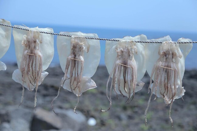 사진 언스플래쉬