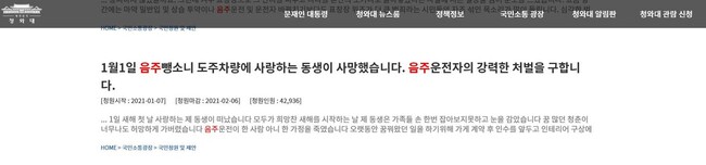 지난 7일 ‘1월1일 음주뺑소니 도주차량에 사랑하는 동생이 사망했습니다. 음주운전자의 강력한 처벌을 구합니다’라는 제목으로 올라온 국민청원 관련 게시글.
