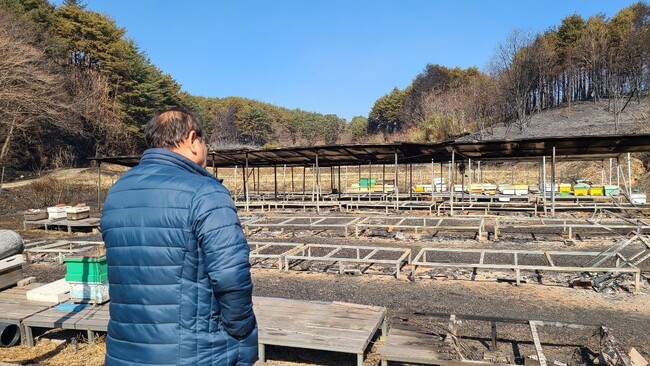 6일 오전 경북 울진군 죽변면에서 양봉업을 하는 김형원(63)씨가 화재로 모두 불타 버린 농가를 보고 허탈해하고 있다. 박지영 기자