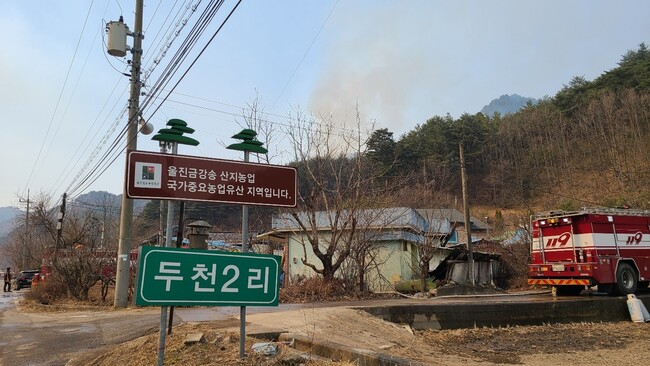 7일 오전 경북 울진군 울진읍 북면 두천리 잔불 처리 작업 현장. 박지영 기자