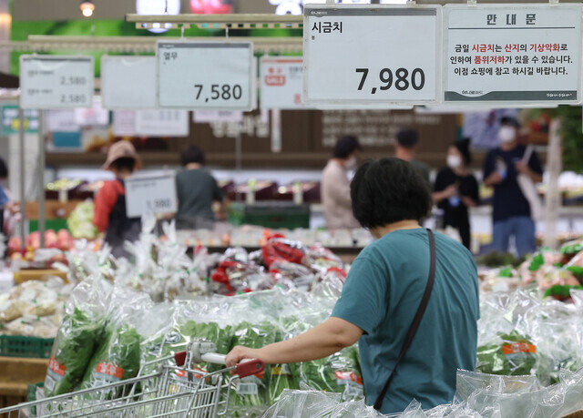 시민들이 지난달 21일 농협 하나로마트 양재점에서 장을 보고 있다. 연합뉴스