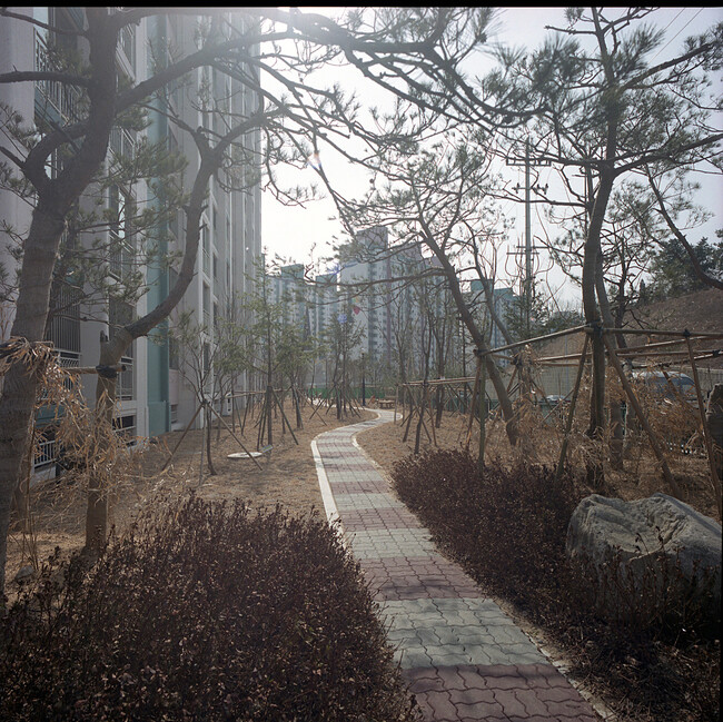 서울 도심에서 승용차와 대중교통으로 1시간 정도 걸리는 경기도 용인시 수지 아파트 단지. 연합뉴스