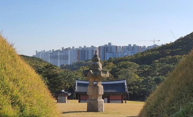 조선 16대 국왕인 인조의 아버지 원종(1580~1619)과 부인 인헌왕후(1578~1626)의 무덤 사이로 ‘왕릉뷰 아파트’가 병풍처럼 펼쳐져 있다. 이정하 기자