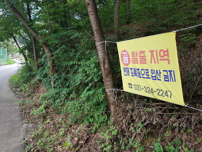 지난 7월 곰이 탈출한 용인시 이동읍 천리에 입산을 금지하는 펼침막이 붙어있다. 천호성기자 지난 7월 곰이 탈출한 용인시 이동읍 천리에 입산을 금지하는 펼침막이 붙어있다. 천호성기자
