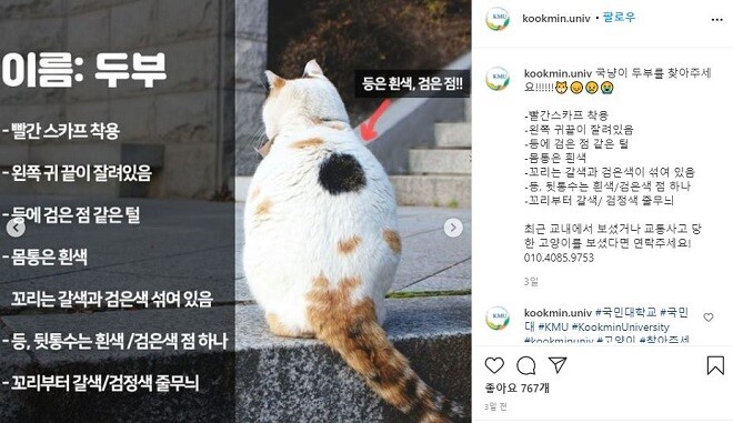 &nbsp; &nbsp; &nbsp; &nbsp; &nbsp; &nbsp; &nbsp; &nbsp; &nbsp; &nbsp; &nbsp; &nbsp; &nbsp; &nbsp; &nbsp; &nbsp; &nbsp; &nbsp; &nbsp; &nbsp; &nbsp; &nbsp;국민대 국냥이 '두부'를 찾는 인스타그램 캡쳐사진.&nbsp; &nbsp; &nbsp; &nbsp; &nbsp; &nbsp; &nbsp; &nbsp; &nbsp; &nbsp; &nbsp; &nbsp; &nbsp; &nbsp; &nbsp; &nbsp; &nbsp; &nbsp; &nbsp; &nbsp;국민대 제공
