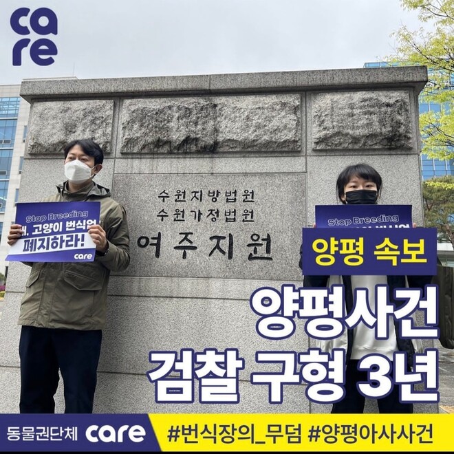 동물권단체 ‘케어’ 인스타그램 갈무리