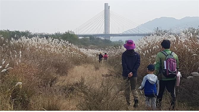 가족 단위로 참가가 많은 세종시 강길 산길 탐방.