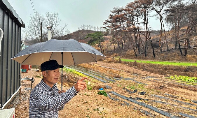 충남 홍성 산불의 이재민 김만복씨가 재 너머에서 난 산불이 강풍을 타고 두 시간여 만에 곳곳을 불지옥으로 만든 지난 4월 산불 당시 상황을 생생하게 설명하고 있다. 송인걸 기자 igsong@hani.co.kr