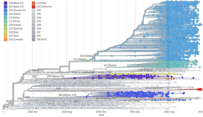 빨간색으로 분류된 오미크론 변이가 주요 변이에서 파생되어 나온 것이 아니라, 지난해 6월께 발생했던 변이에서 파생돼 나온 것을 확인할 수 있다. 넥스트 스트레인 갈무리
