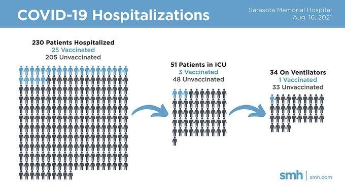 사라소타 메모리얼 병원의 입원 환자 현황. 파란색인 백신 접종자, 검은색이 미접종자.