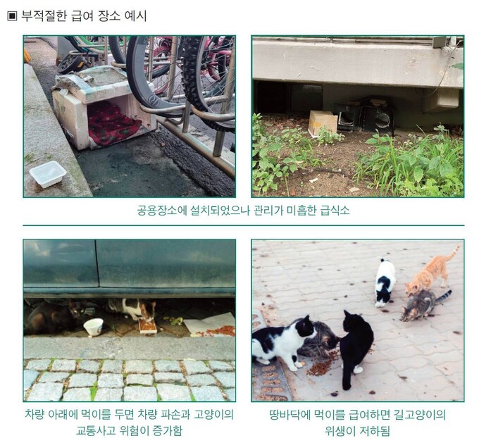 길고양이 급여 장소의 부적절한 예시. 농림축산식품부 제공