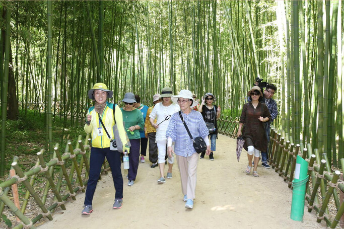 울산 태화강 십리대숲길. 울산시는 이 대숲을 ‘백리대숲’으로 늘려 오는 10월까지 걷기 행사를 벌인다. 울산시 제공