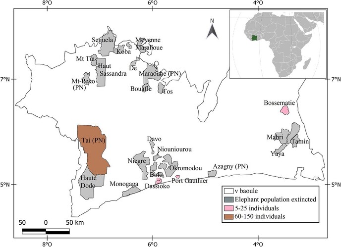 코트디부아르 둥근귀코끼리 조사 대상인 보호구역과 코끼리가 발견된 곳. 갈색으로 표시된 태 국립공원에서 189마리가 발견됐을 뿐 나머지 분홍으로 표시된 보호구역에서는 5∼16마리가 확인됐을 뿐이다. 장-루이 쿠아쿠 외 (2020) ‘플로스 원’ 제공
