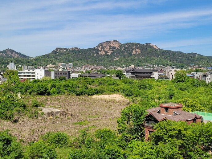 지난 11일 오전 안국빌딩 뒷면 비상통로에서 내려다본 송현동 공터. 푸르른 녹음에 덮여 있다. 멀리 인왕산의 원경이 어우러져 도심 같지 않은 아름다운 전원 풍경을 보여준다. 원래 미국 대사관 직원 숙소 터였다. 최근 서울시 매입이 확정된 땅으로, 최근 이건희 컬렉션 미술관을 짓자는 여론이 일고 있다.