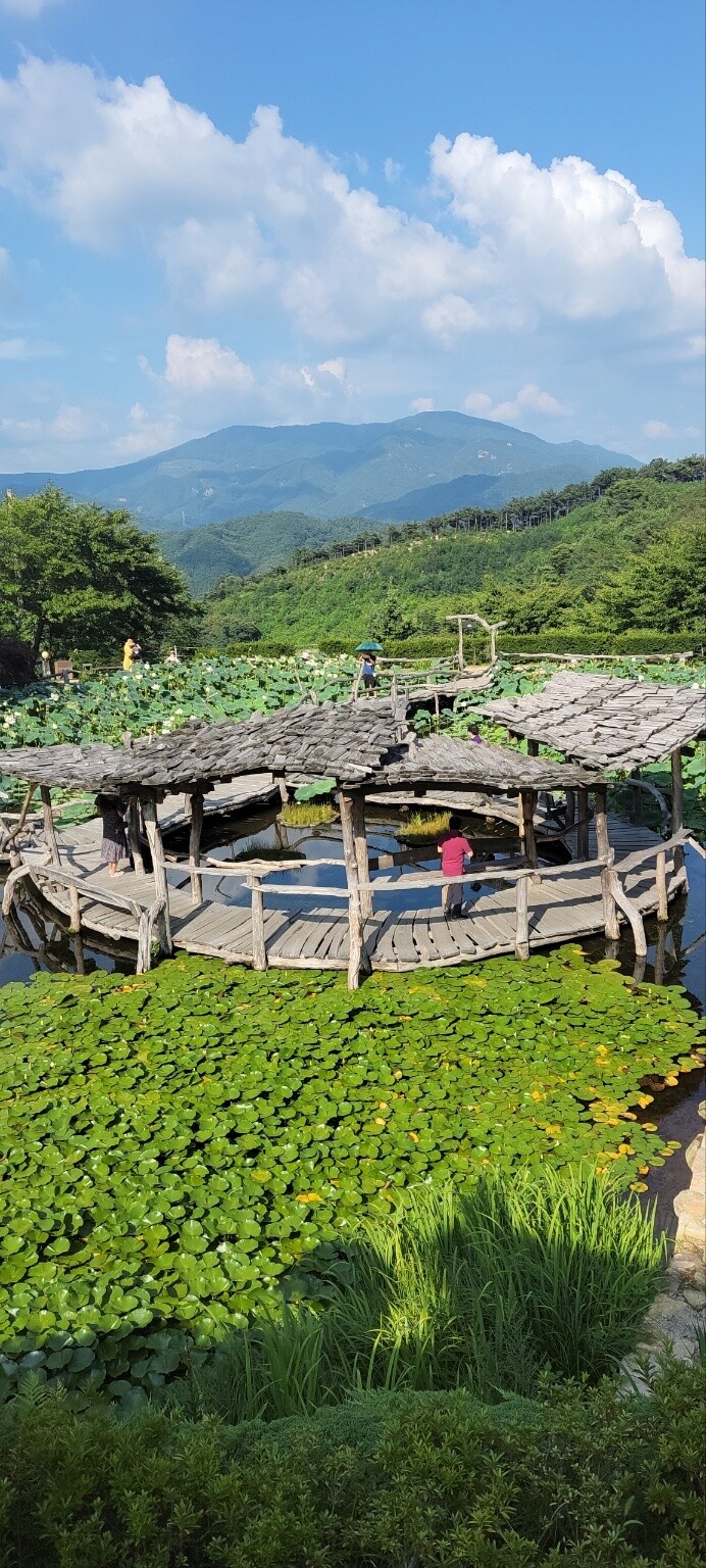 산청 수선사. 사진 원철 스님